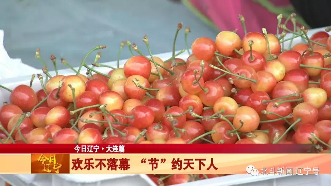 辽宁大连新闻联播今天,最新中央电视台报道大连