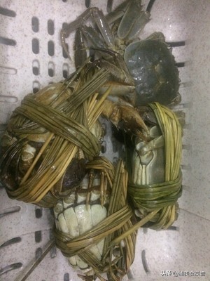 螃蟹最正确的吃法大闸蟹,这个季节大闸蟹的吃法大全