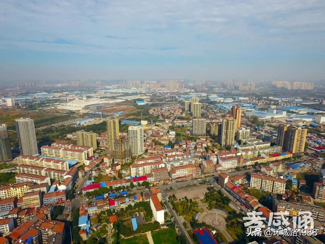 未来可期！向你展现不一样的毛陈