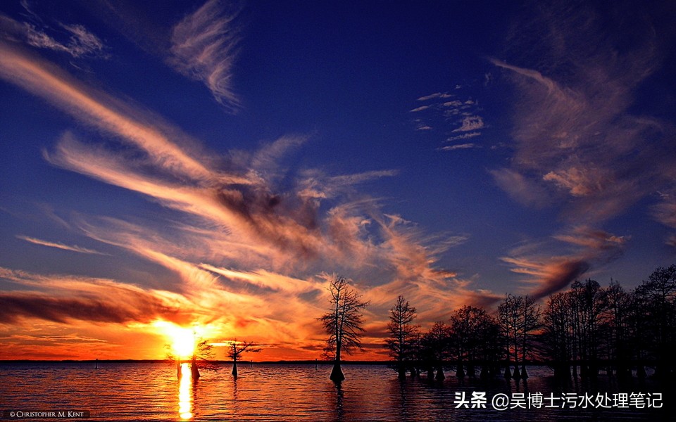 什么是活性炭它能除去甲醛吗,什么是活性炭能过滤水