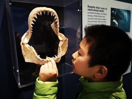 长隆度假区真实测评,长隆测试