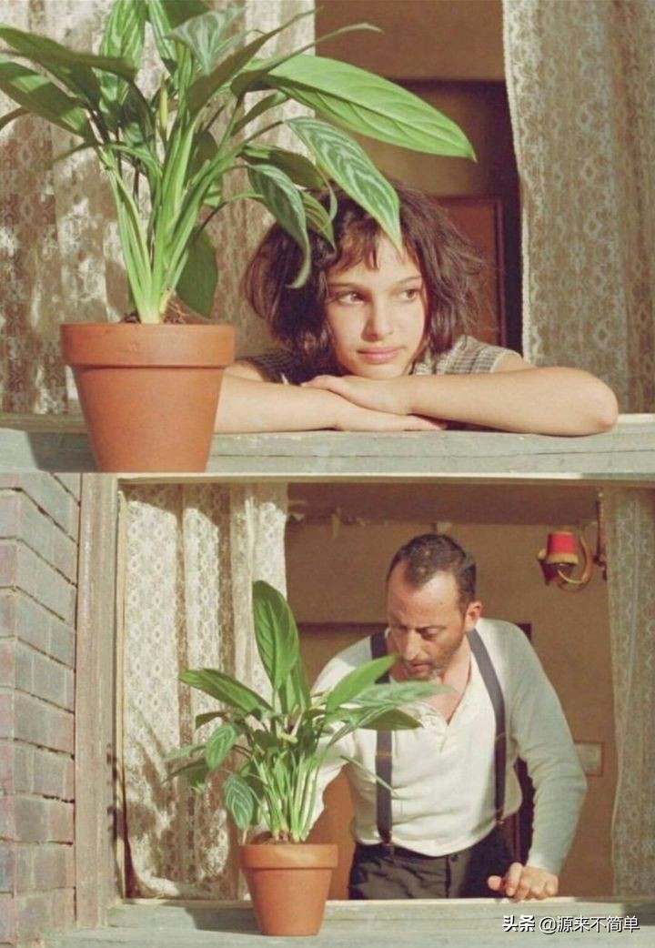 豆瓣高分电影排行榜前1000,电影top250排行榜