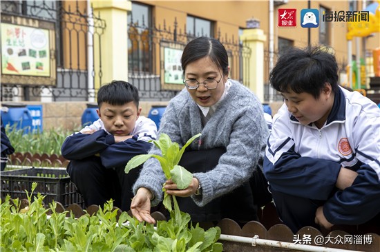 @淄川父老乡亲，请为家乡点赞