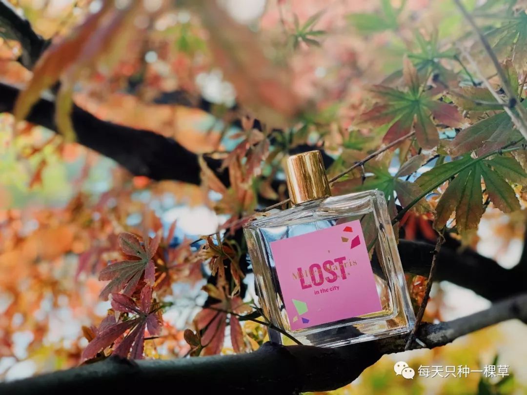 买了这么多的东西都是为了什么,买了这么多口红哪一支是你的真爱