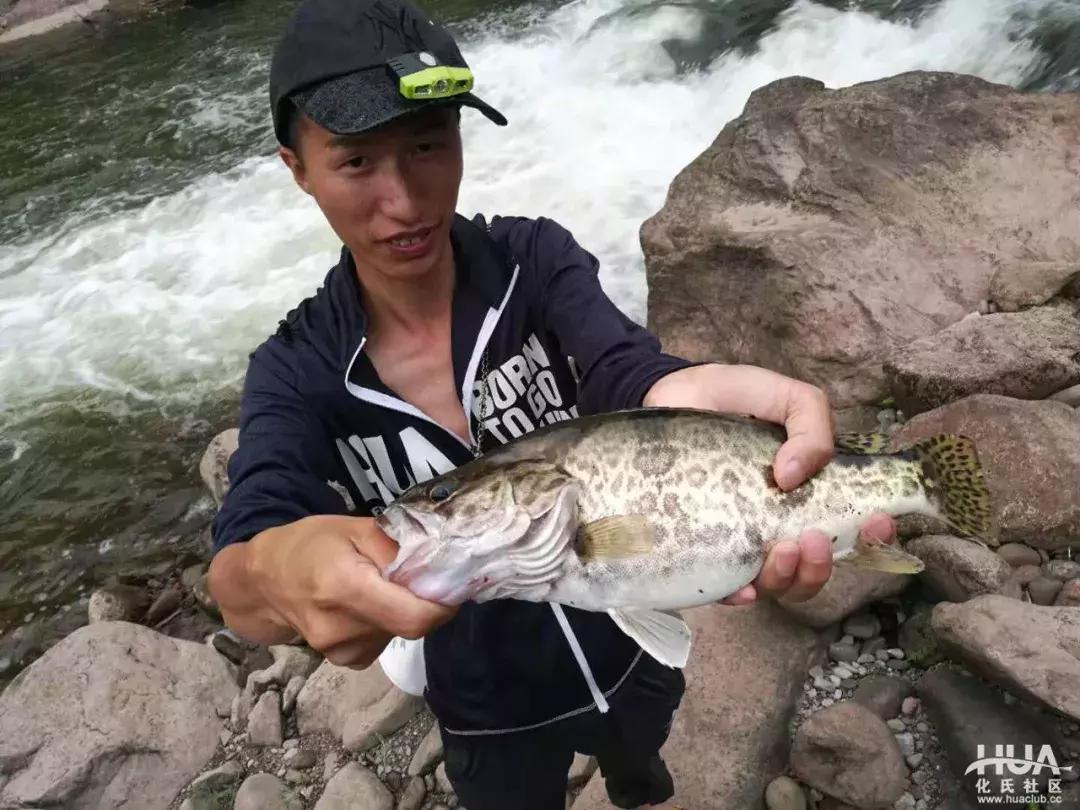 空钩钓上来鱼有什么寓意,路亚空钩上鱼