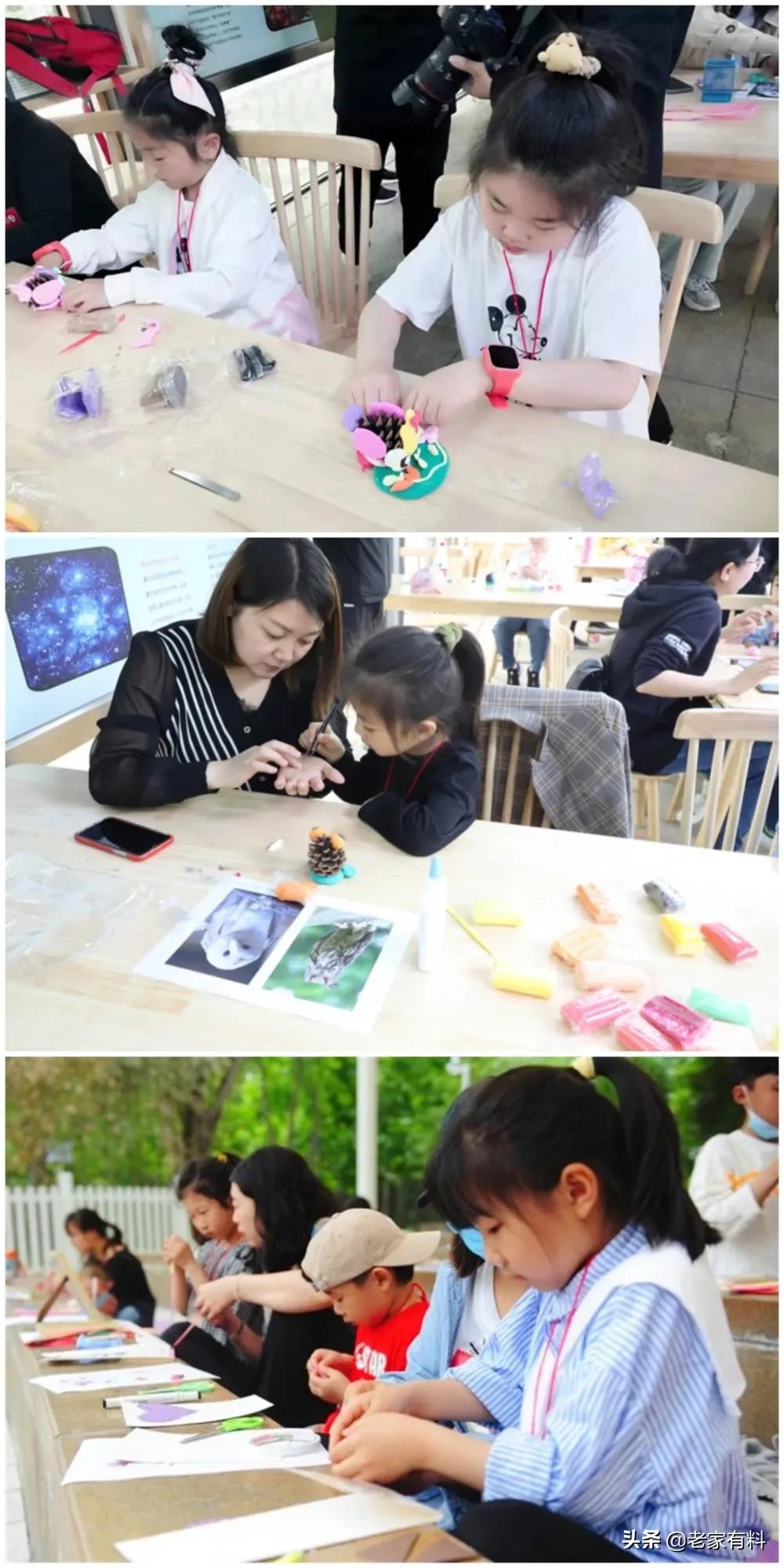 郑州绿博园将永久免费入园,郑州省实验绿博园