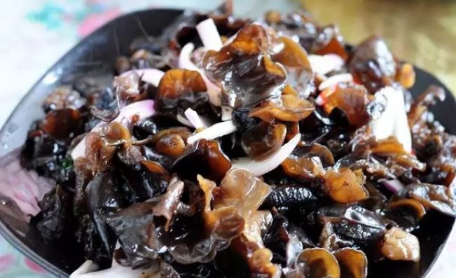 你想象的乡村是什么样的,你梦想的城市是怎样的