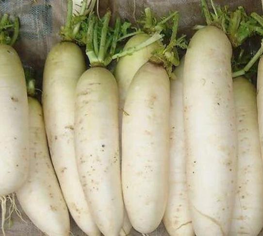 萝卜好不好，看这4点就知道，避免“空心”萝卜，菜贩：真内行