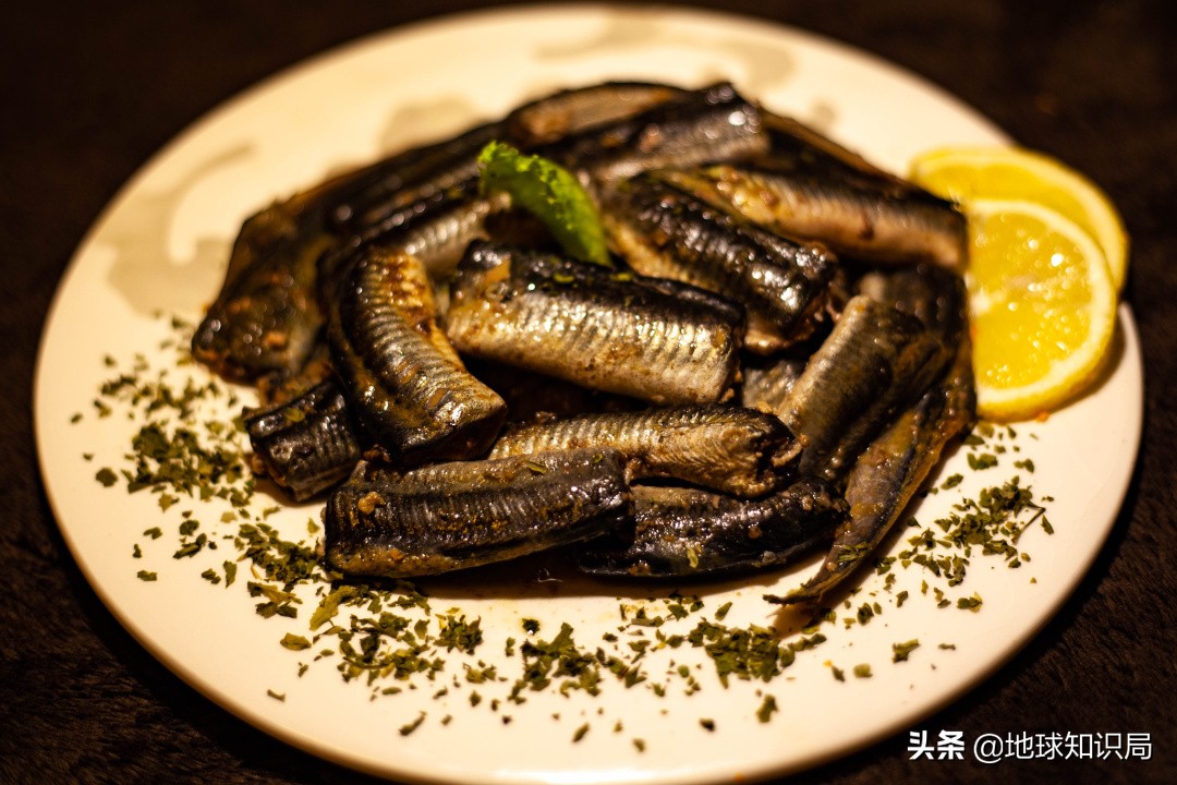 全球旅行攻略干货,全球旅行不为人知的秘密