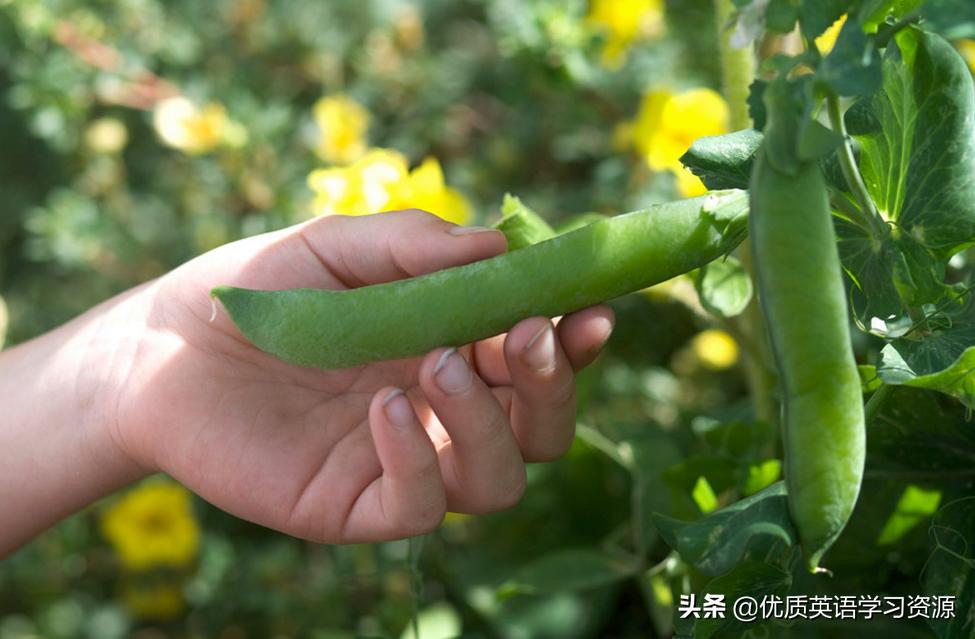 classmates什么意思 (classtrip文章)