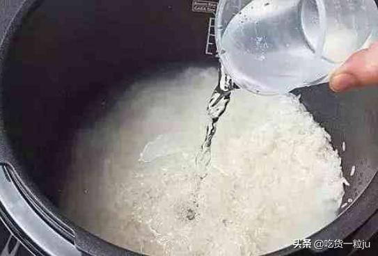 哪种大米蒸米饭最好,蒸米饭选择什么大米好吃