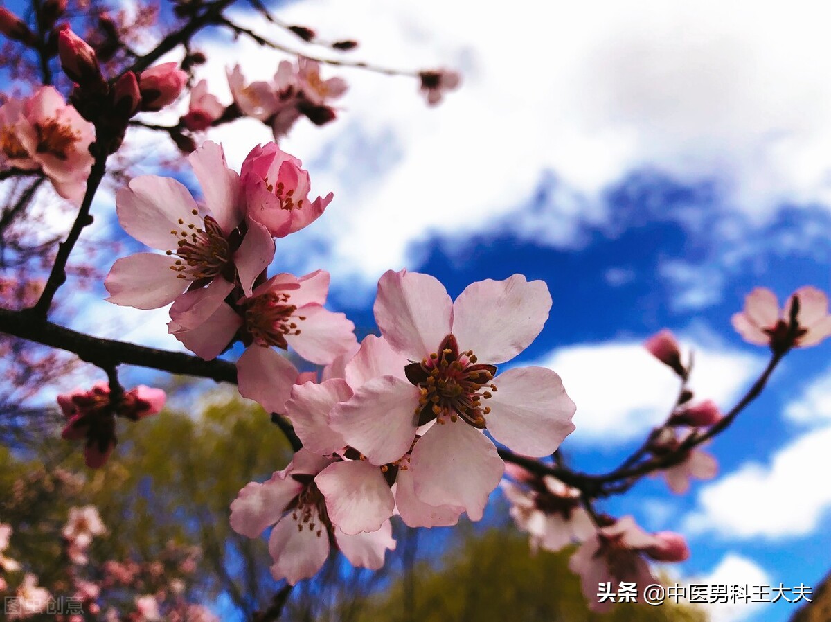 精阈值过高是怎样导致的,中医如何降低精关阈值过高