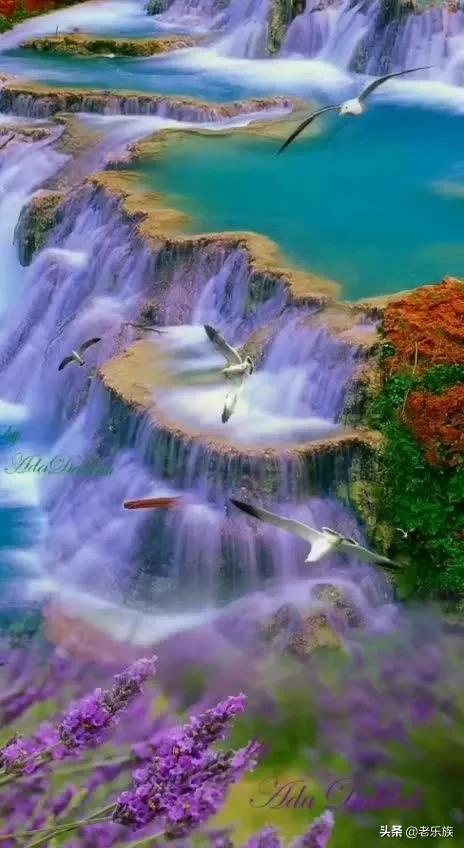 离退休之后一定要停止做这八件事,离退休人员必须知道的条件