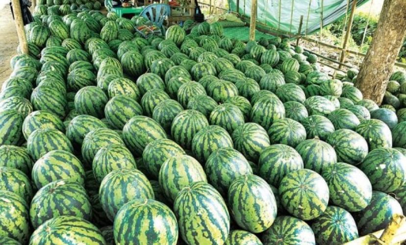 缅甸进口水果口岸在哪里,缅甸木姐口岸出口消息