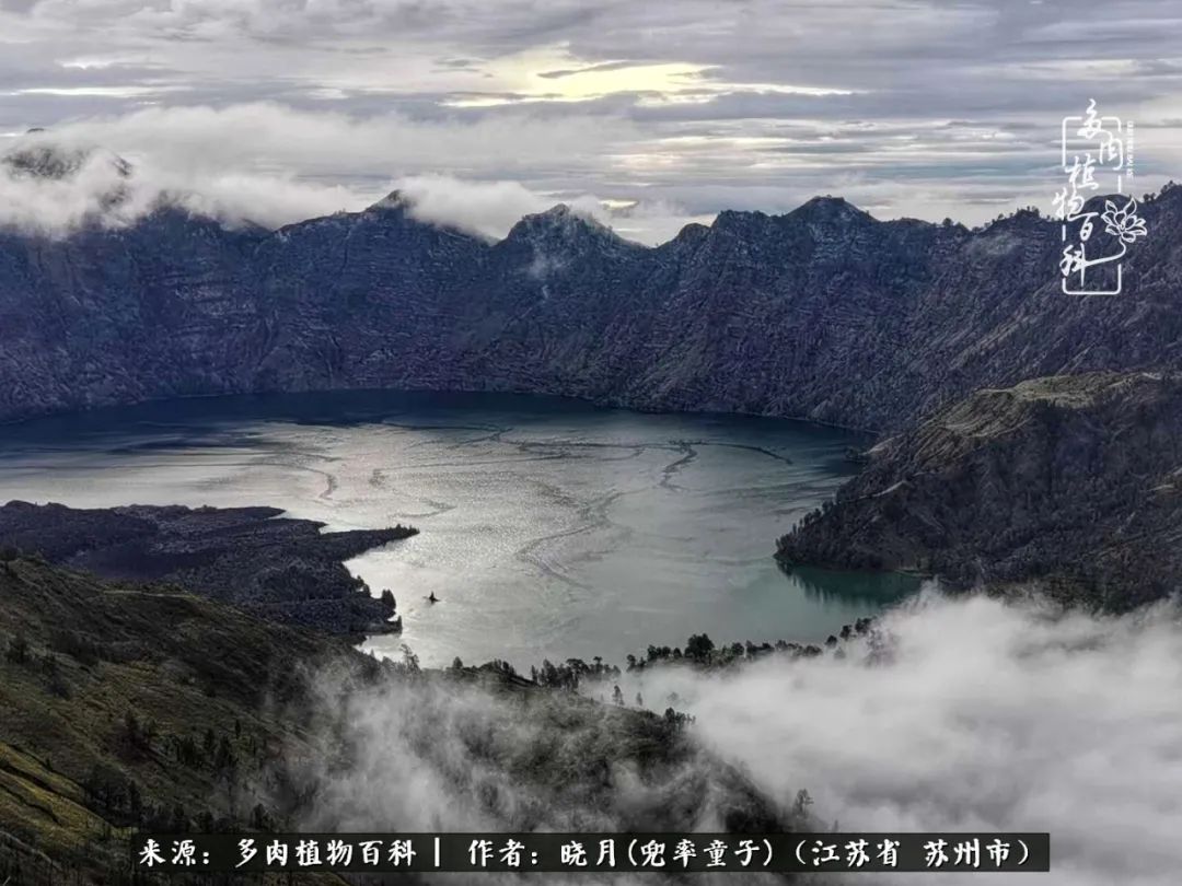 六年时间环游22个国家,却被多肉小萌物征服