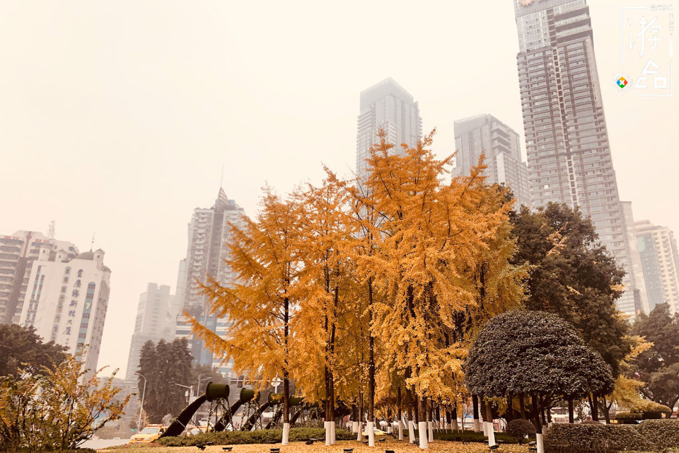在重庆找住宿,重庆住宿怎样选择