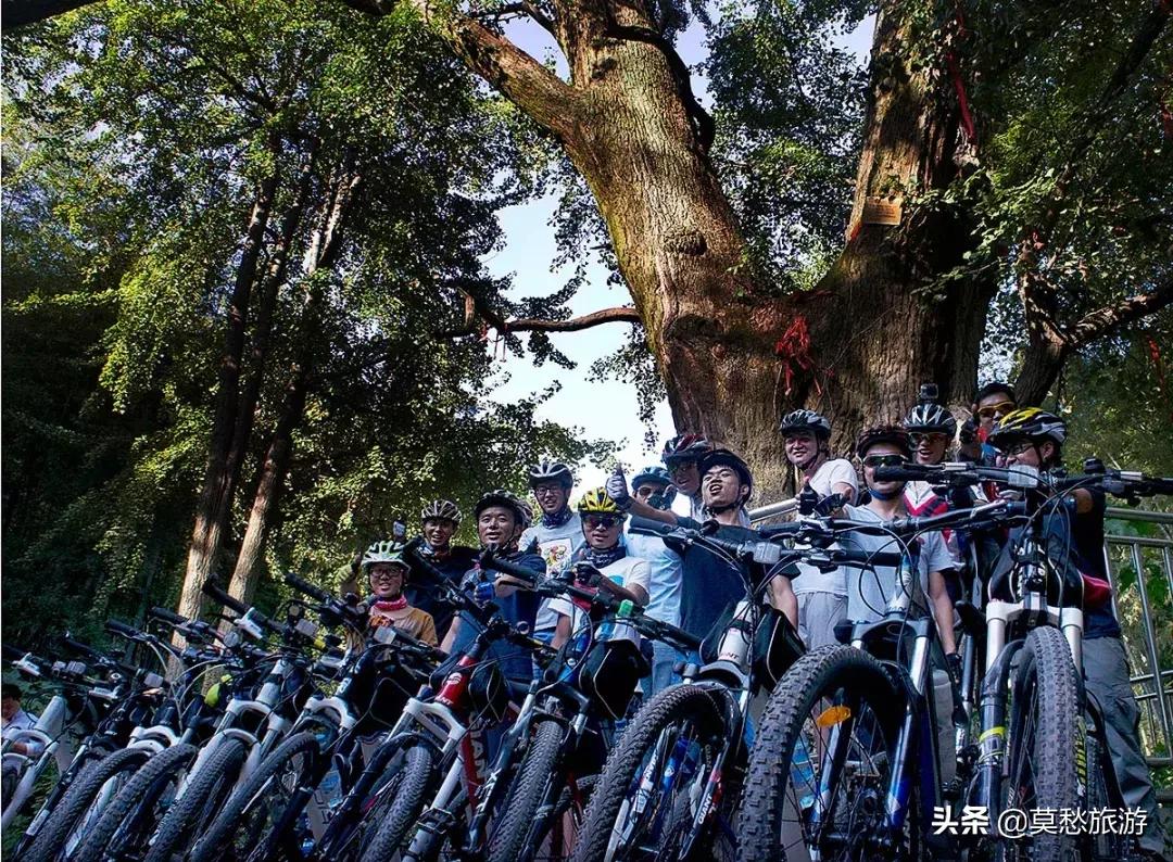 南京怪坡风景区,江宁怪坡风景区