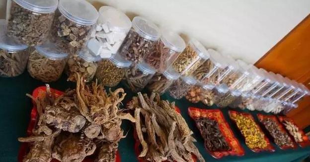 全国最好的药材种植,全国各地适合种植什么药材