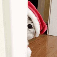 便宜不过敏水乳,便宜实惠好用的平价水乳