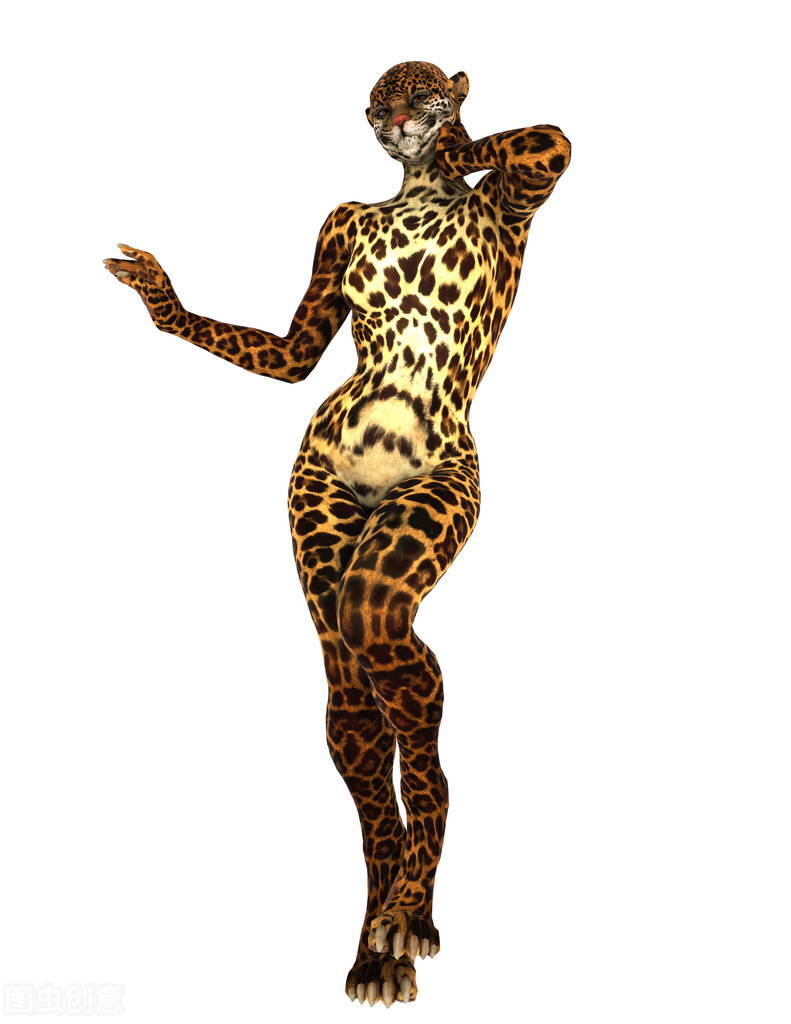 鸿星尔克的广告词是什么,鸿星尔克广告词是什么梗