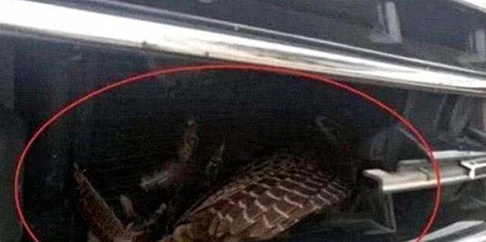 男子发现爱车被砸,男子发现自家车被剐蹭