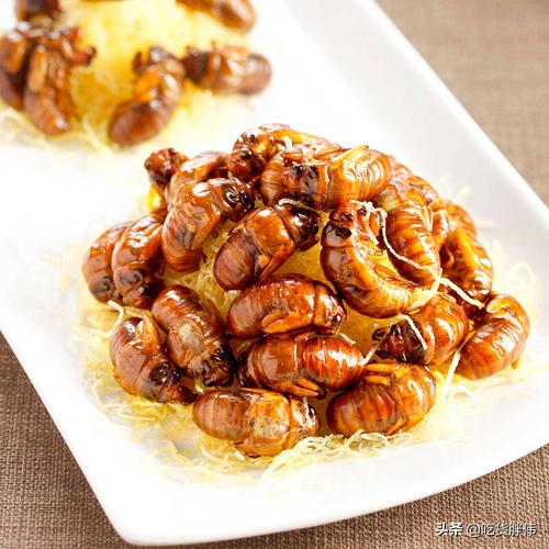 全国各地特色黑暗料理食物,全国各地特色暗黑零食