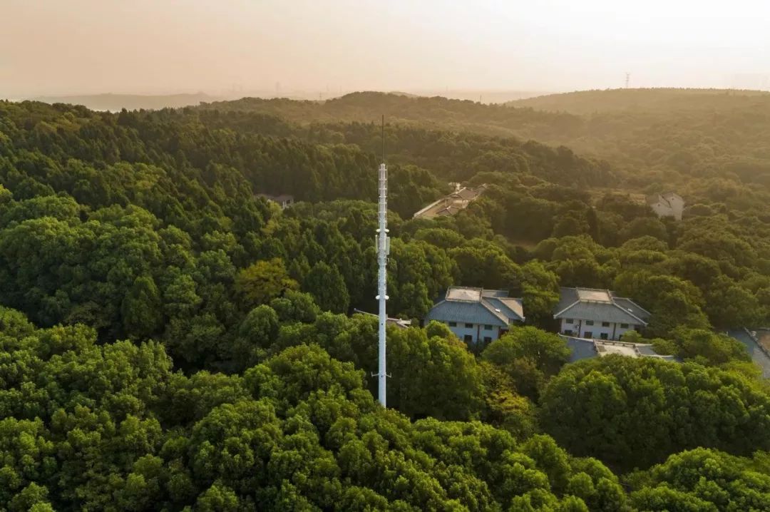 武汉开发区再次丢出“王炸”连外国人都惊呼“sonice”