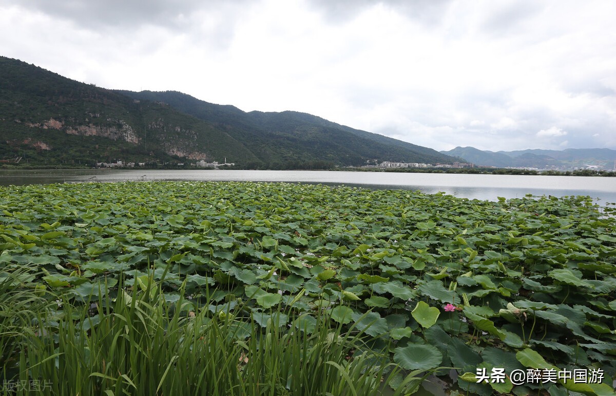 五一昆明周边游玩景点推荐亲子,五一昆明周边游玩景点推荐便宜