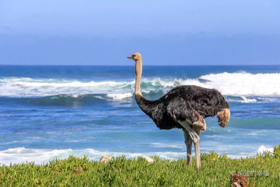 一位英国军舰上的香港水手讲述的经历