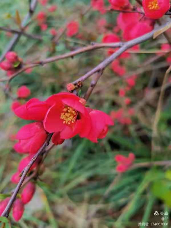 伏牛笔耕苑第214期2021.3.6