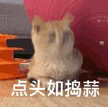 各高校社团招新,贵阳高校社团花式招新