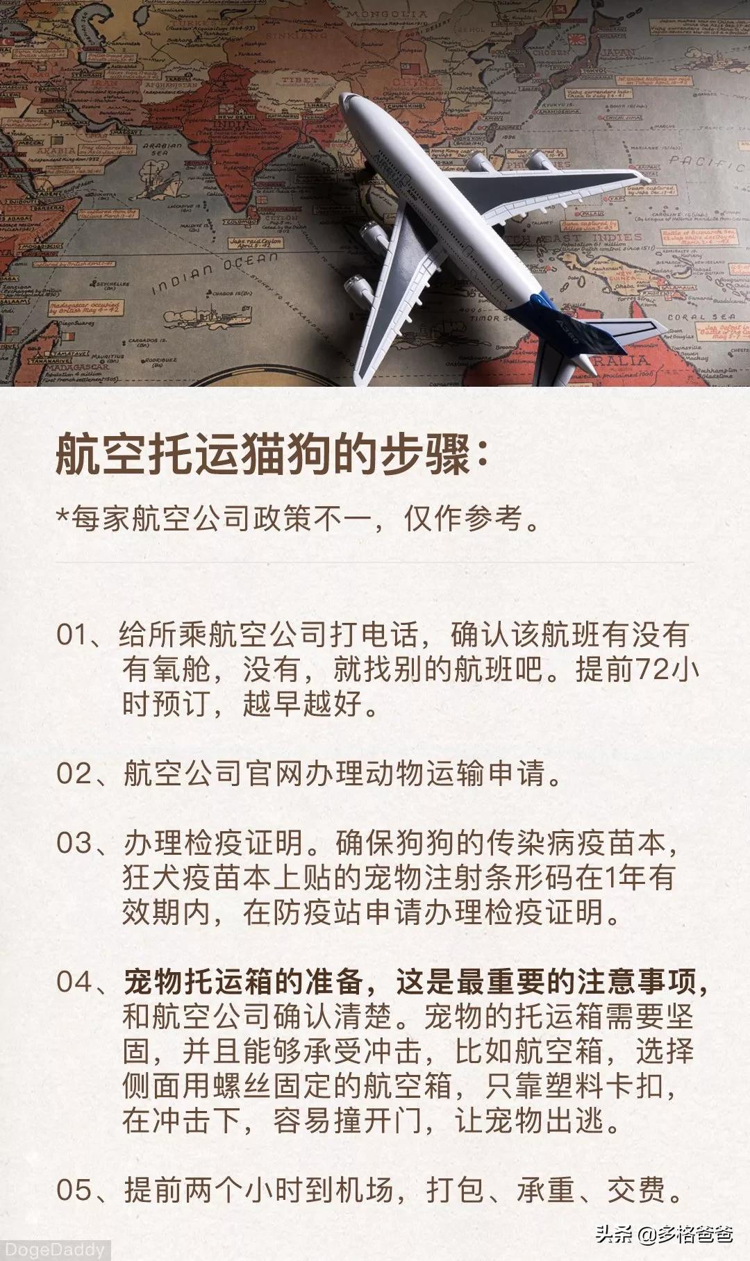 过年回家带狗狗怎么放车上,带狗狗回家过年怎么安置