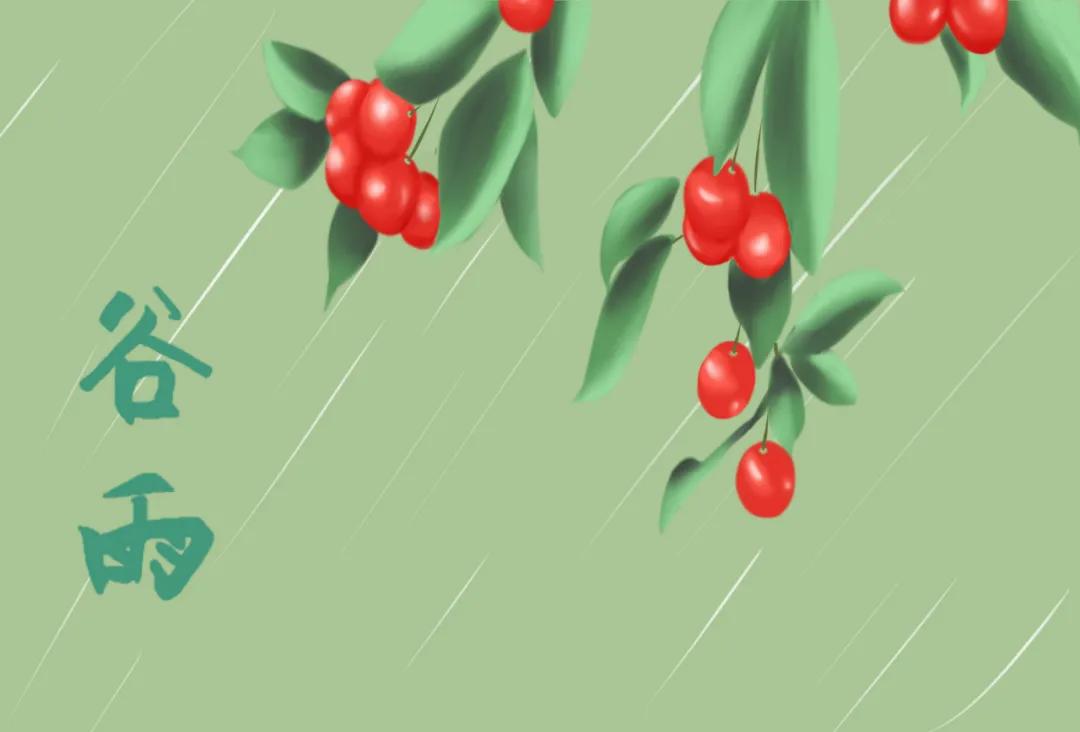 谷雨养肝祛湿正当时,春季养肝也要养胃饮食宜健脾养阳