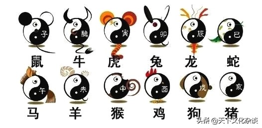 63年女兔2019全年运势和运程,十二生肖2019年运势及运程完整