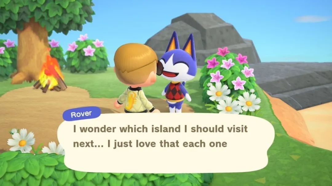 动物森友会背后的恐怖故事,动物森友会少女心爆棚粉色系日常