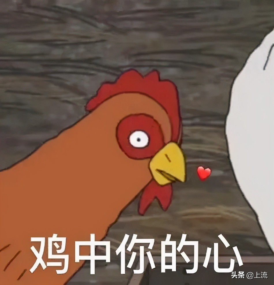 这个辣鸡,才是浙江人心里yyds