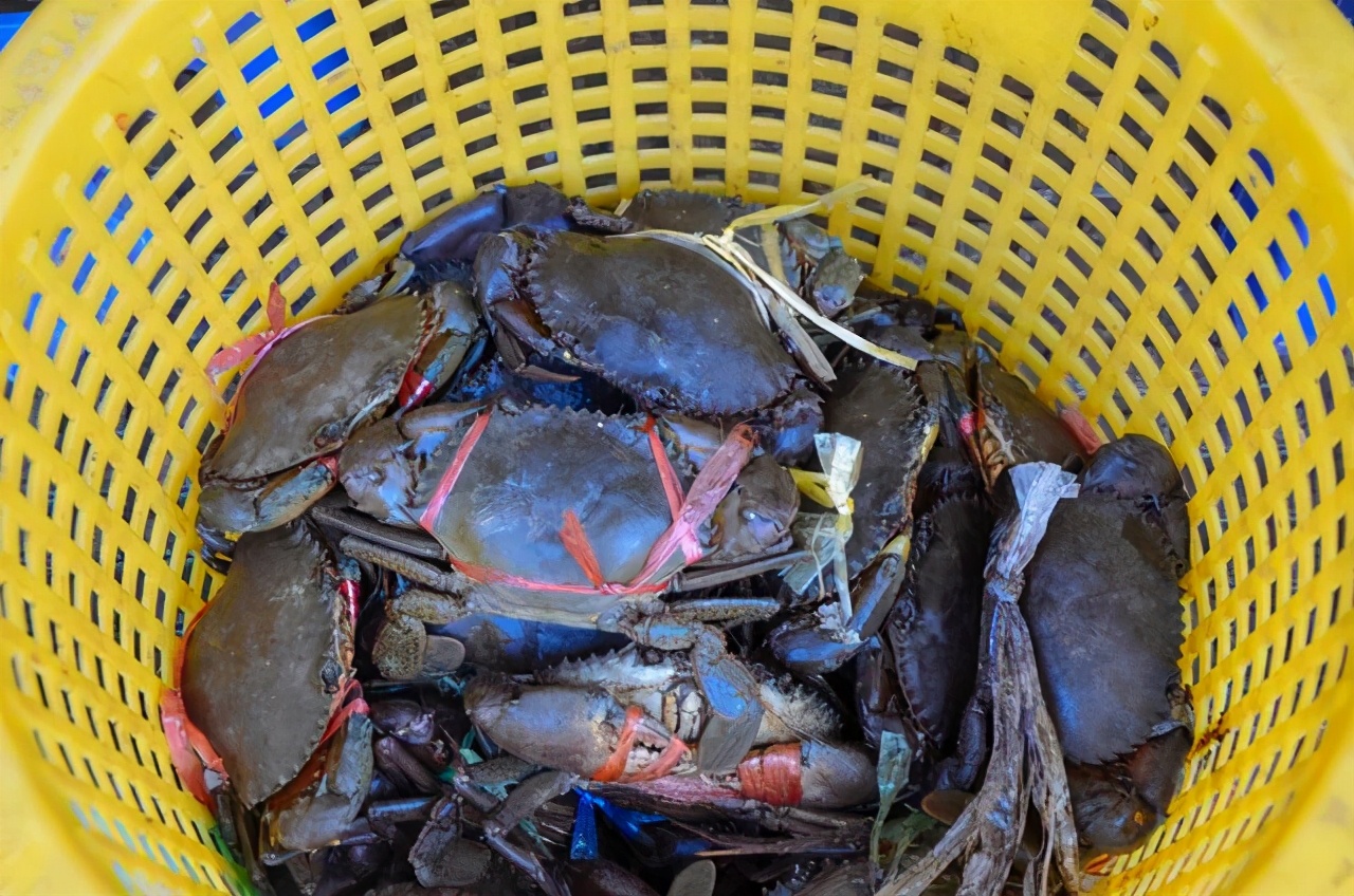 柬埔寨都这么潮吗,柬埔寨是什么样