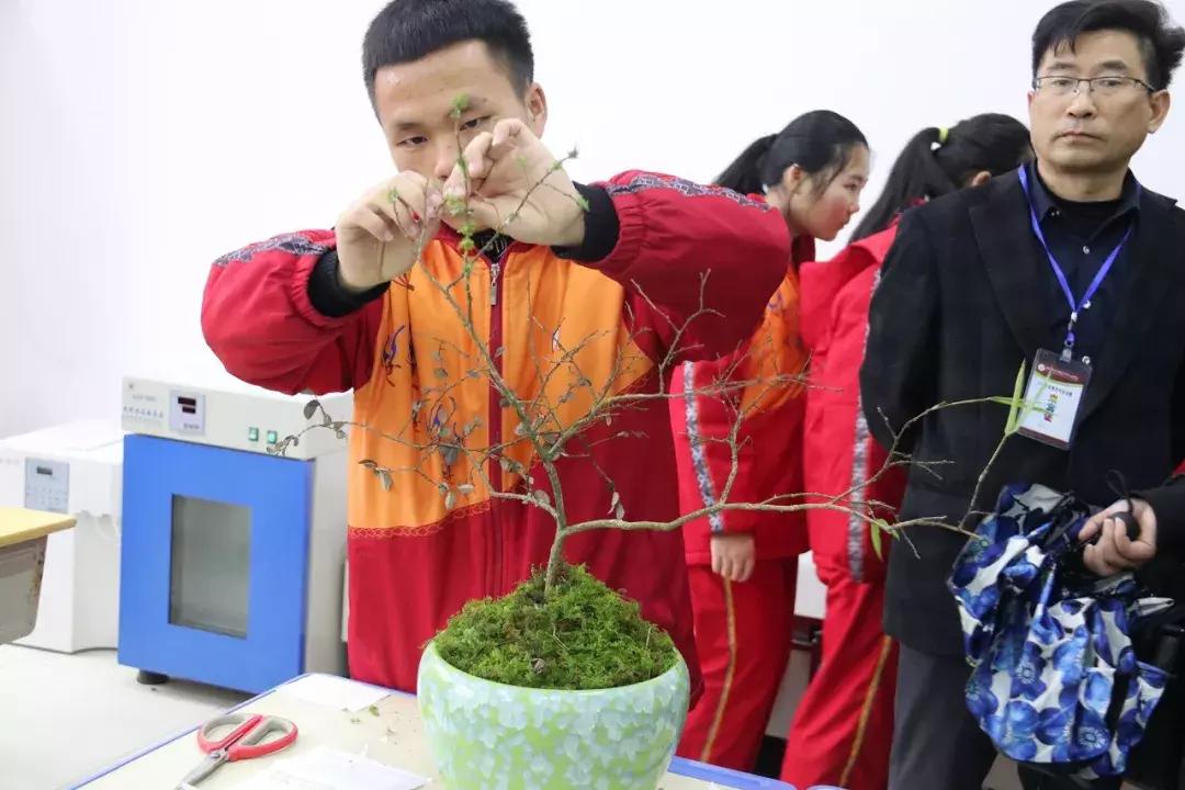 厉害了我们的新时代内容简介,松桃中等职业学校