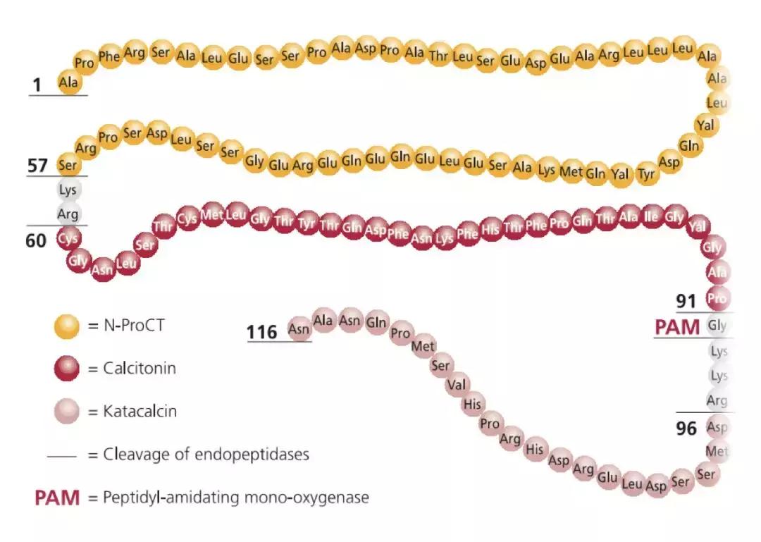 解立新医生怎么样,解立新简介