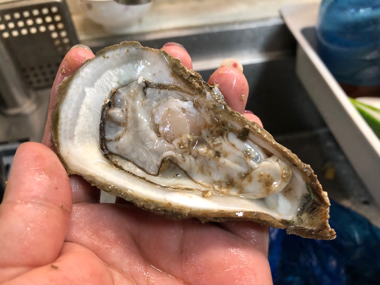 宵夜蒜蓉烤生蚝,夜宵加油站