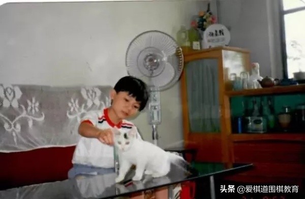 王煜辉用围棋成就更好的人生,围棋王煜辉最新视频