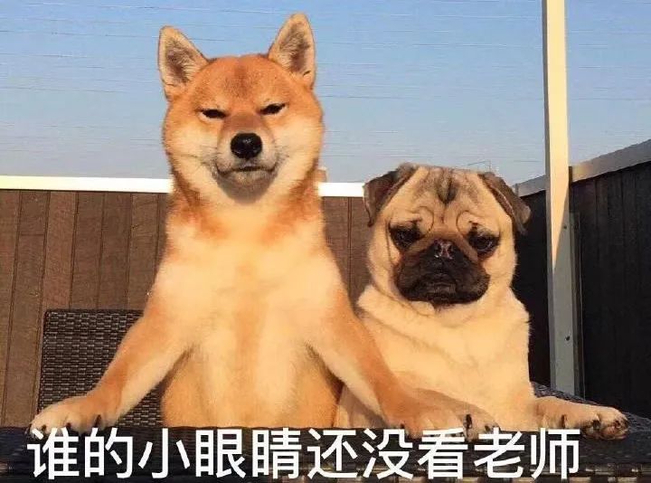 马来西亚留学必备英语单词,马来西亚留学必须学习马来文吗