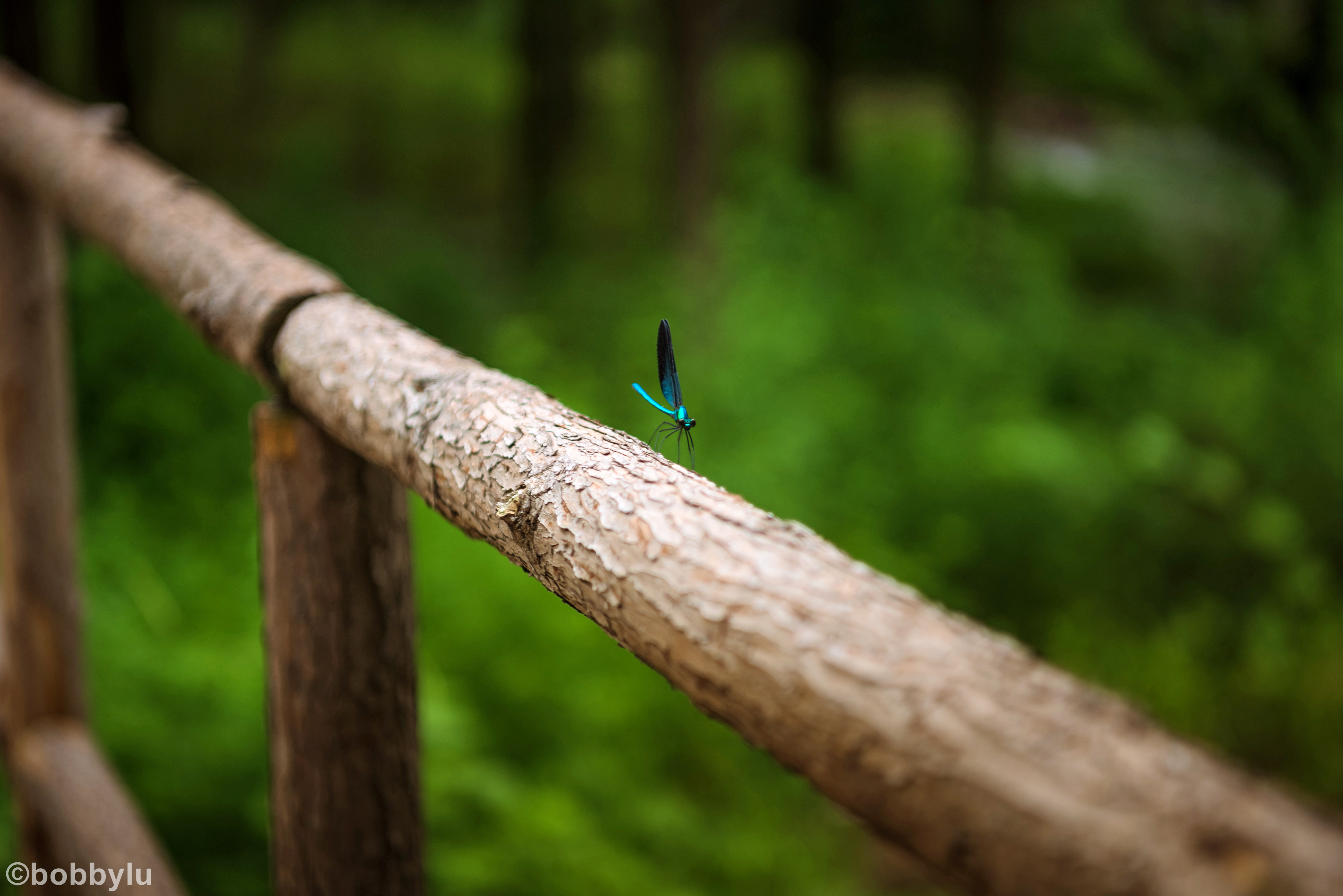隐藏在深山里的网红景点,隐藏深山古村堪称世外桃源