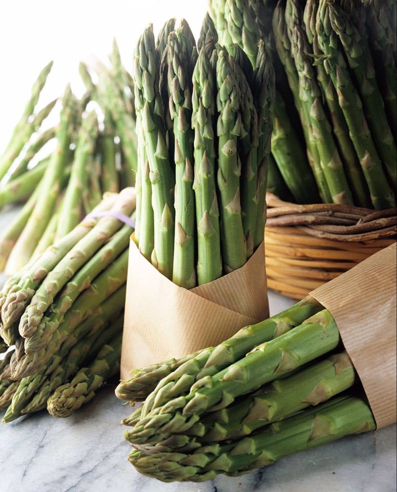 芦笋根盆栽怎么种植是最好的方法,芦笋种植完全不施化肥农药可行吗