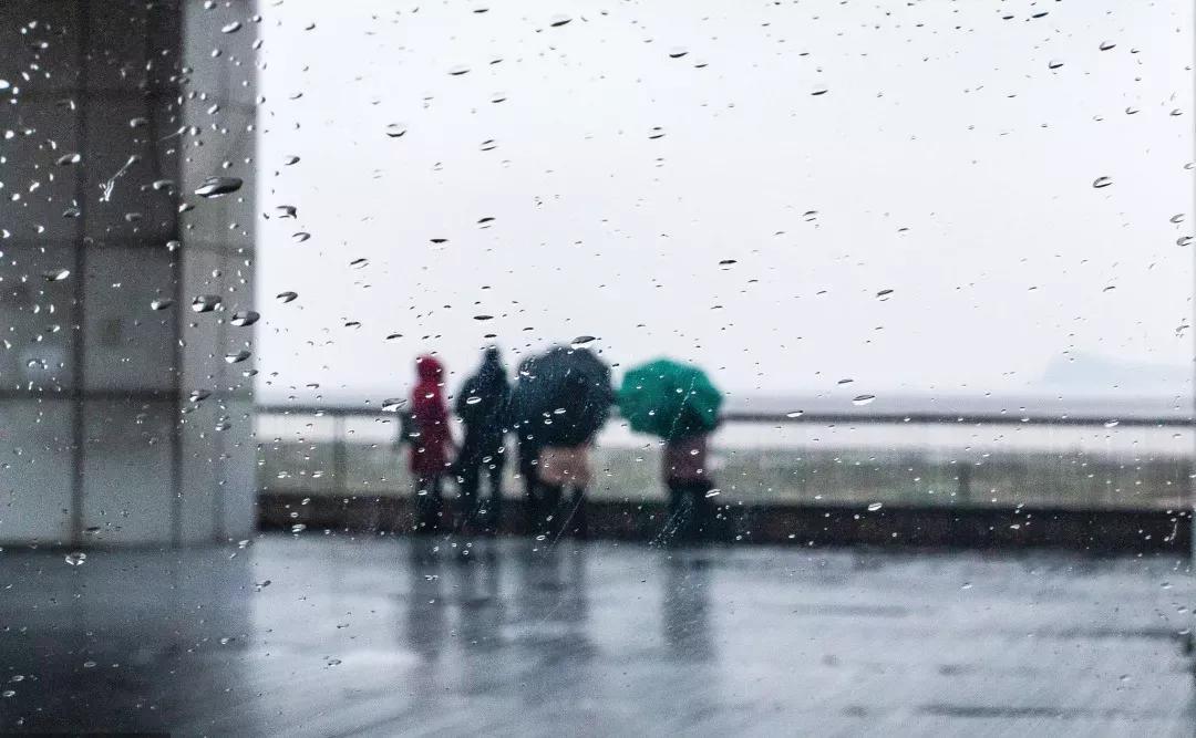 袜子裤头可以一起机洗吗,袜子和裤袜能一起洗吗