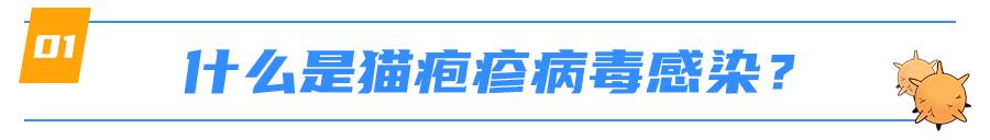 猫感染疱疹咳嗽,猫有眼屎打喷嚏怎么回事