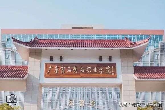 还在为选学校发愁吗,还在为选项目发愁吗