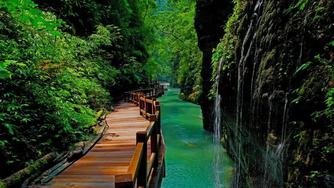 重庆避暑黑山谷,重庆万盛黑山谷生态旅游区