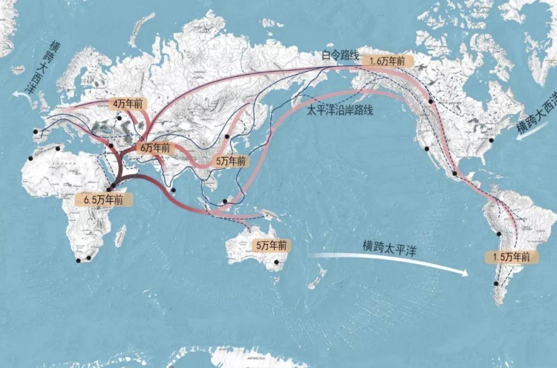 为什么古人不敢动“非洲象”却选择捕杀更大的“猛犸象”？