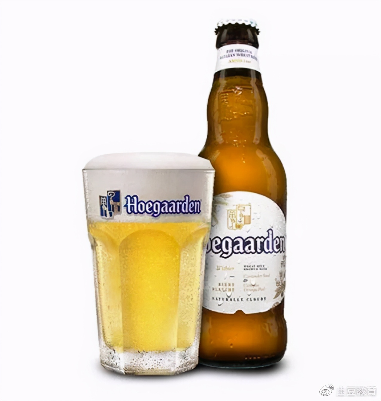 海淘防坑指南大全,海淘黑五是什么